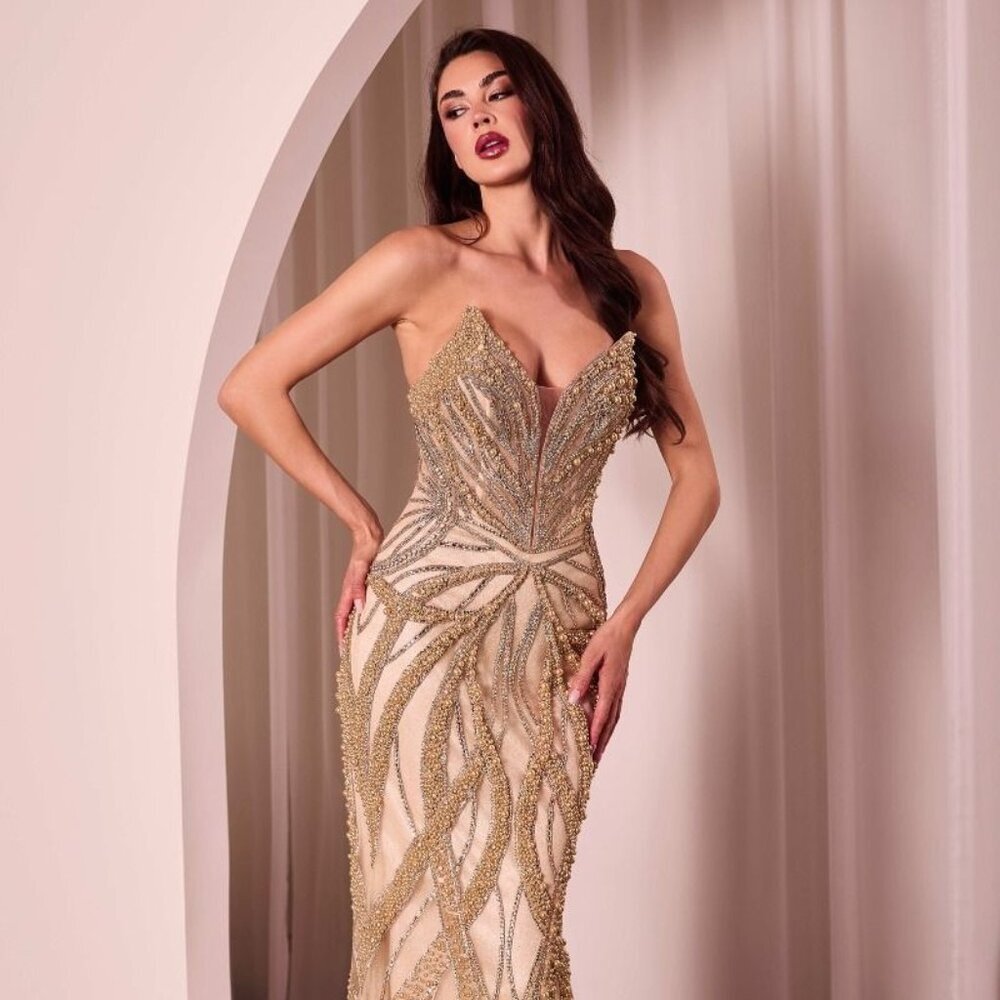 NEW FORMAL SLEEVELESS STRAPLESS SHEATH LONG DRESS W/ PLUNGING NECK CD CC0688